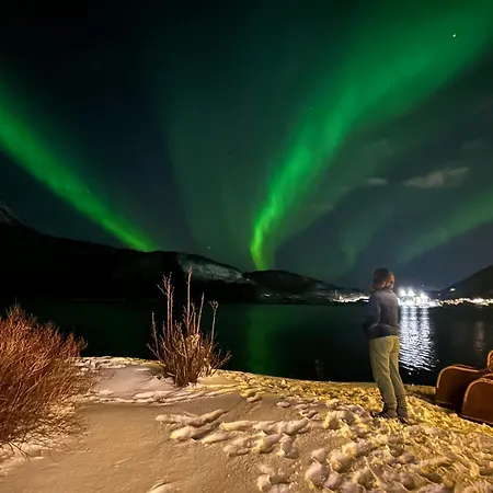 True Vesteralen Sortland