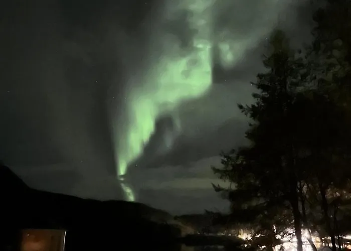 True Vesteralen Hotel Sortland