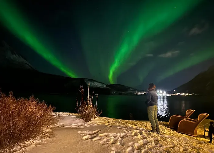 True Vesteralen סורטלאנד